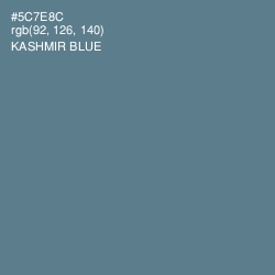 #5C7E8C - Kashmir Blue Color Image